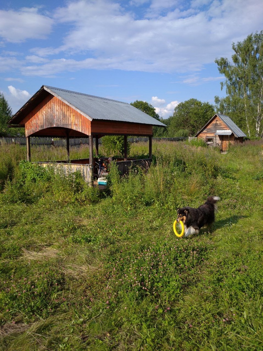 Фото автора