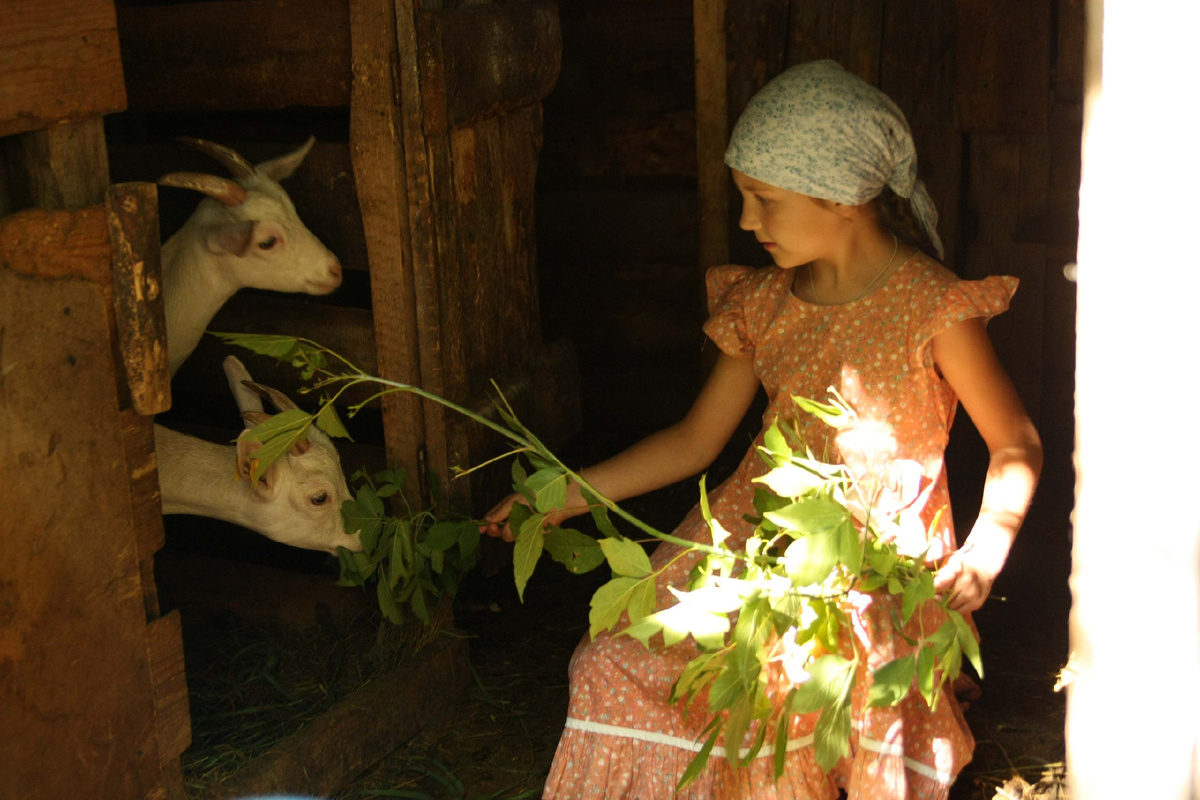 Настоящий контактный зоопарк