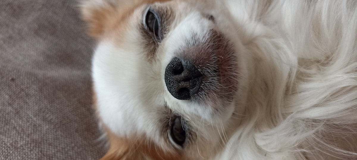 Дискомфорт глазами пассажиров автобуса