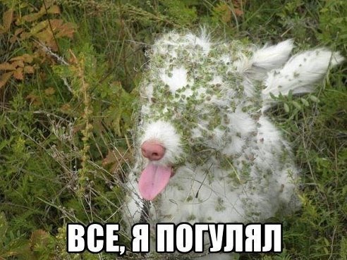 Источник: соцсети