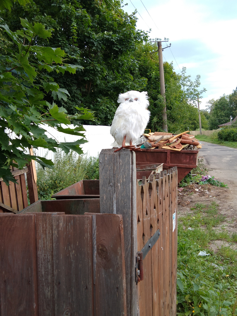 фото автора