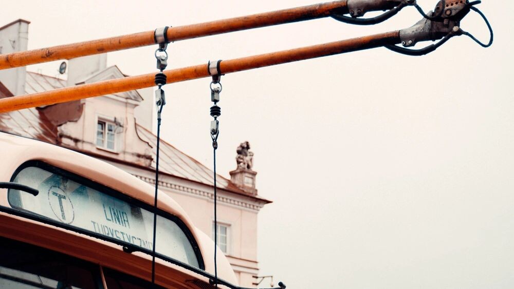    Фото: Mateusz Zdanowicz/Shutterstock/Fotodom