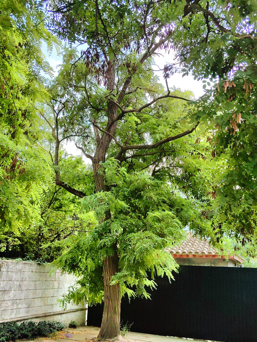 Сегодня. Фото автора канала