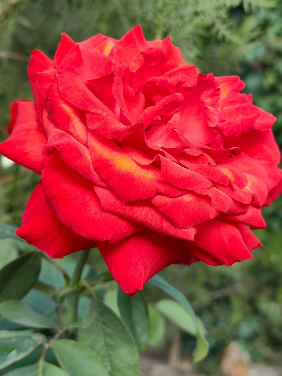 Сегодня. Фото автора канала