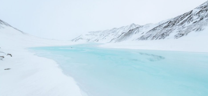 Источник новости: https://ecosphere.press/2025/07/28/na-shpiczbergene-uchyonye-zafiksirovali-rezkij-klimaticheskij-sdvig/