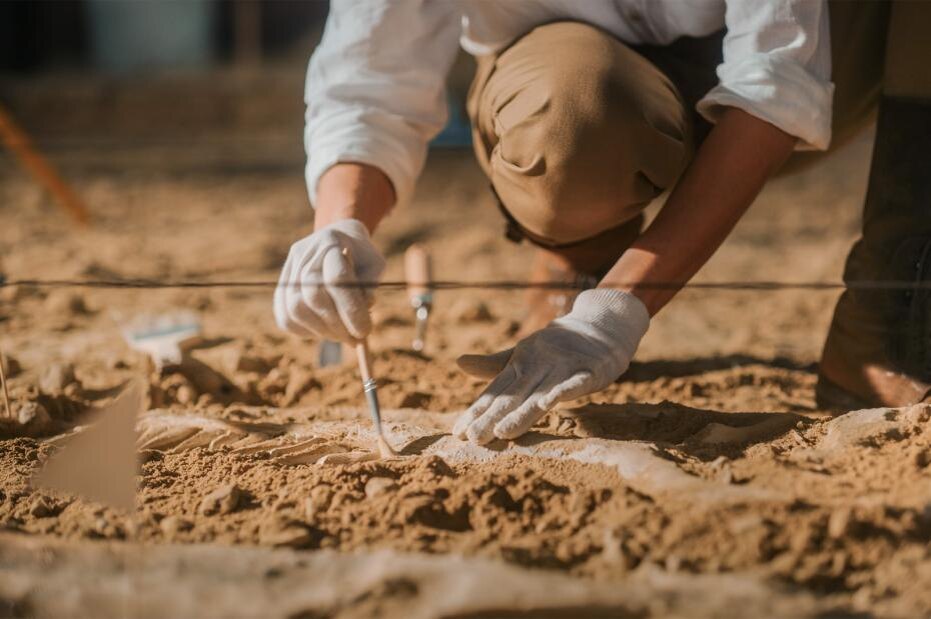    Shutterstock/FOTODOM