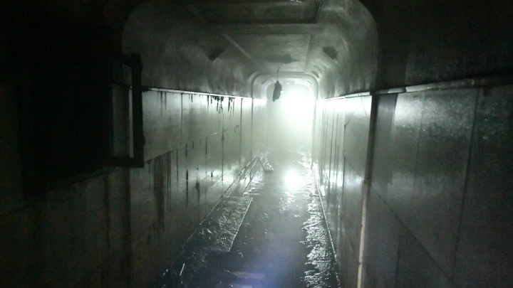 Фото: Aleksander Lyskin/Global Look Press