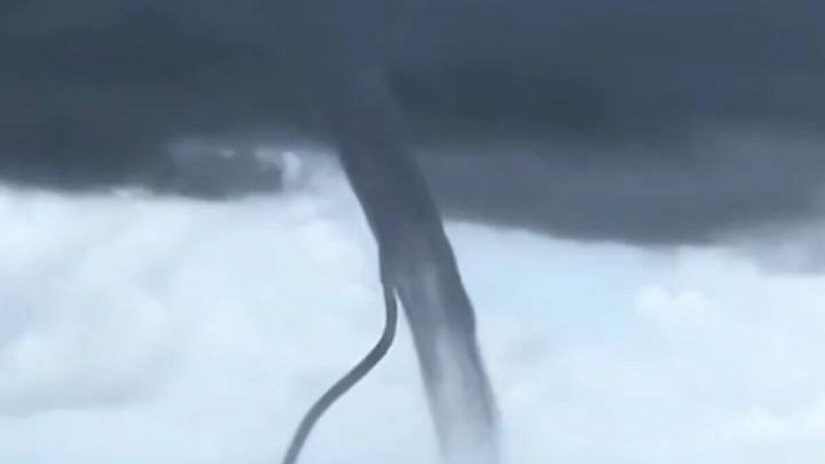    Фото: t.me/sochitop1