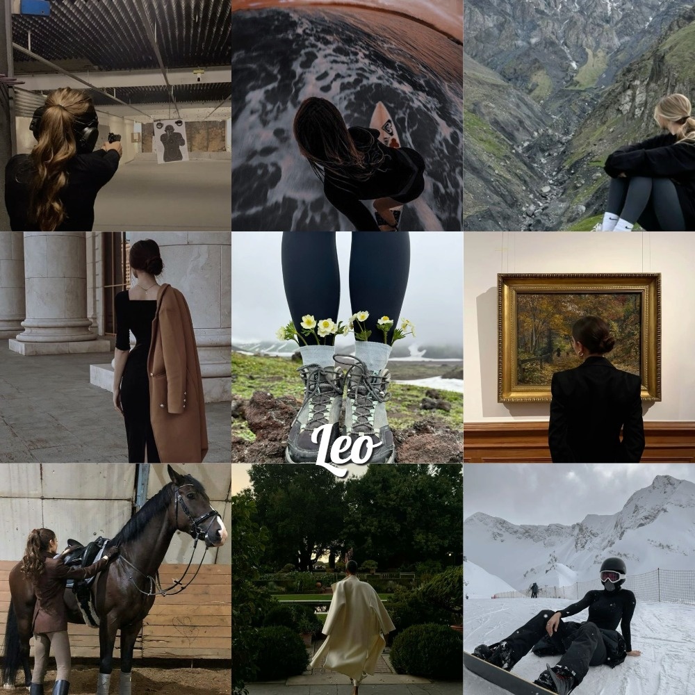 Коллаж для льва по 3-м характеристикам