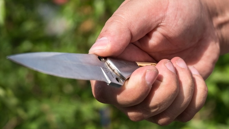      Фото: ИА «Победа26»