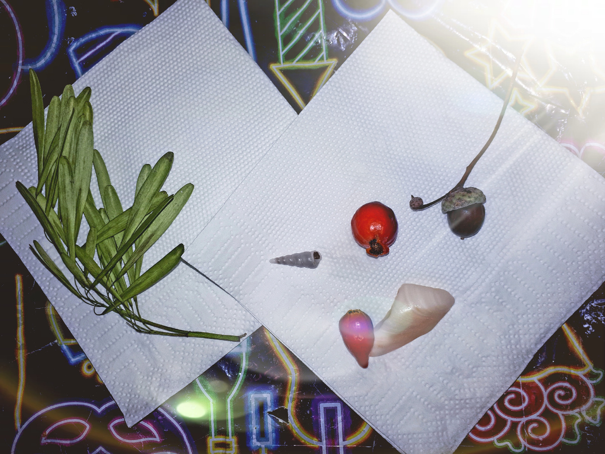 Фото автора 02.08.2025г.