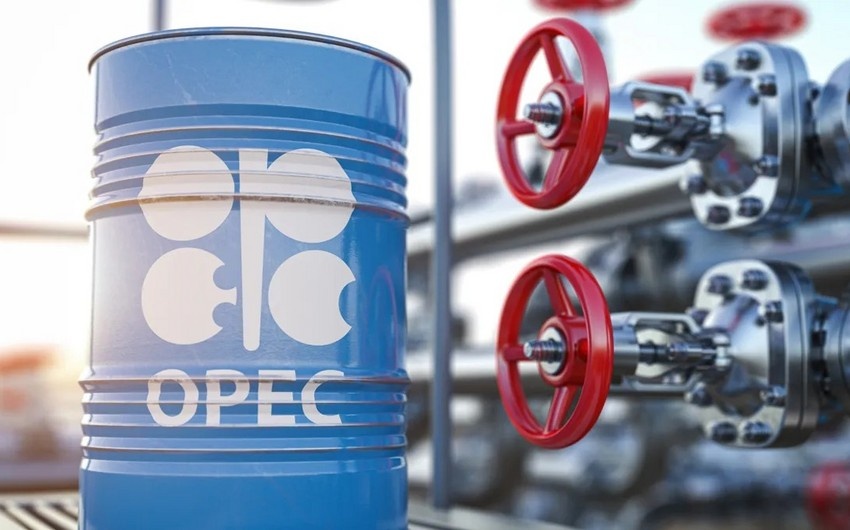   Фото: azerbaycan24.com