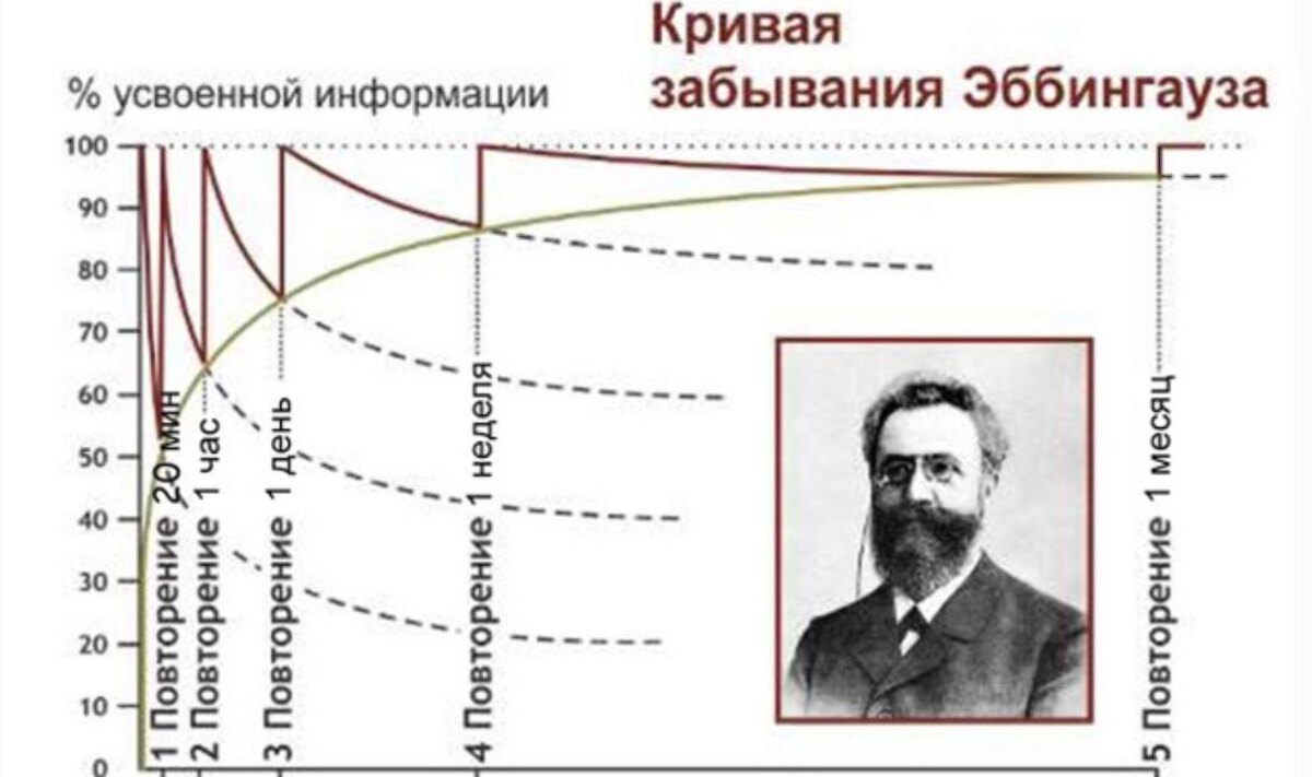 Интервалы — ключ к прочной памяти.