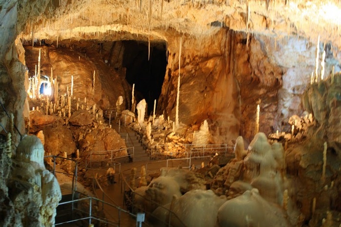 Пещера Мовиле — пещера с изолированной экосистемой, расположенная в уезде Констанца, Румыния, в нескольких километрах от побережья Чёрного моря.