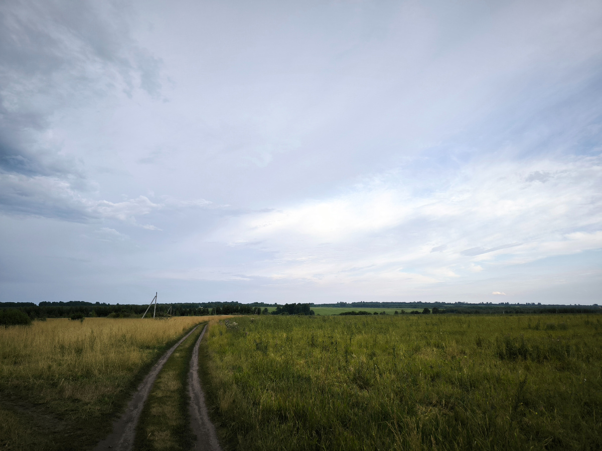 Дорога в полях
