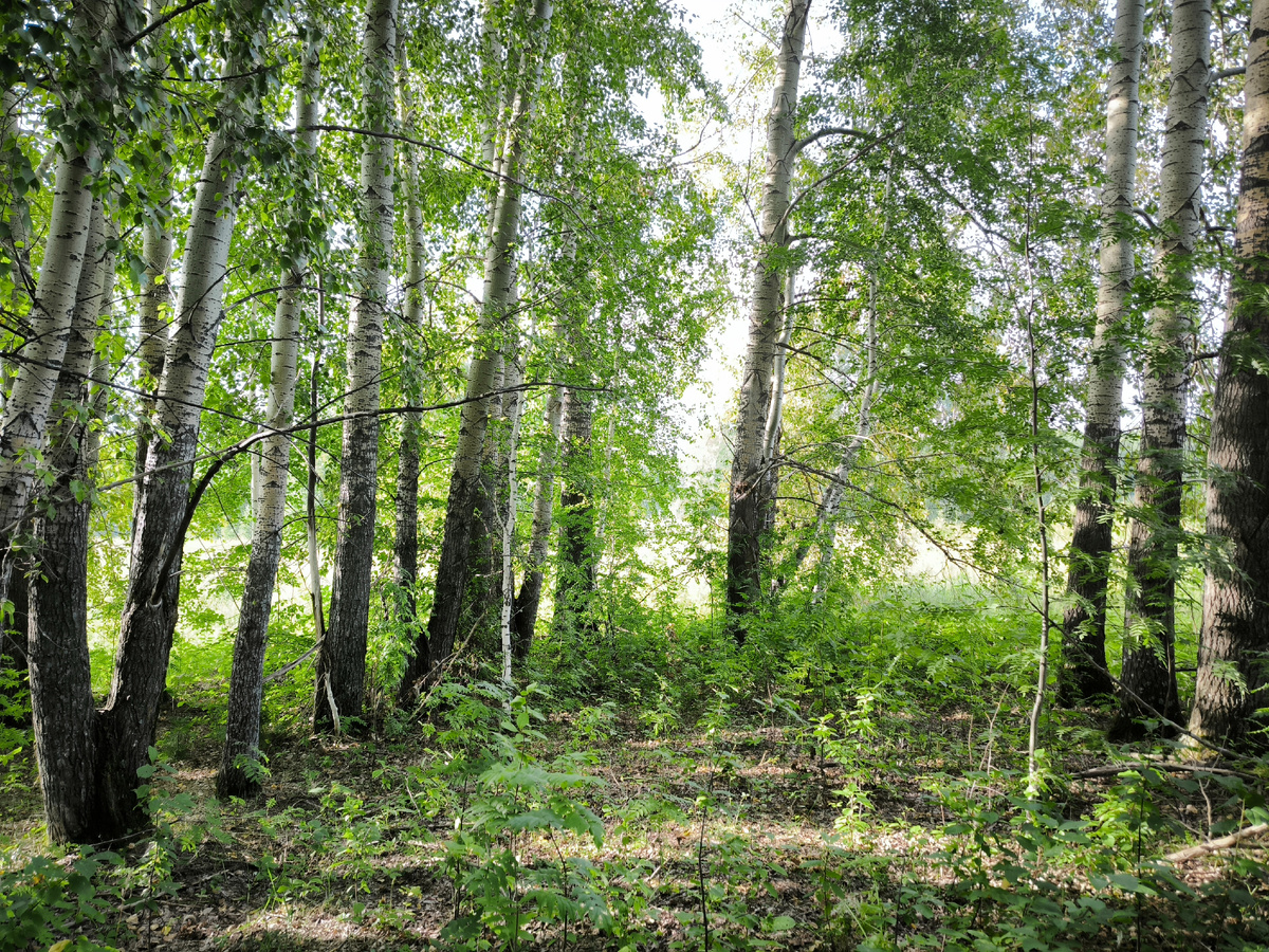 Конец полосы