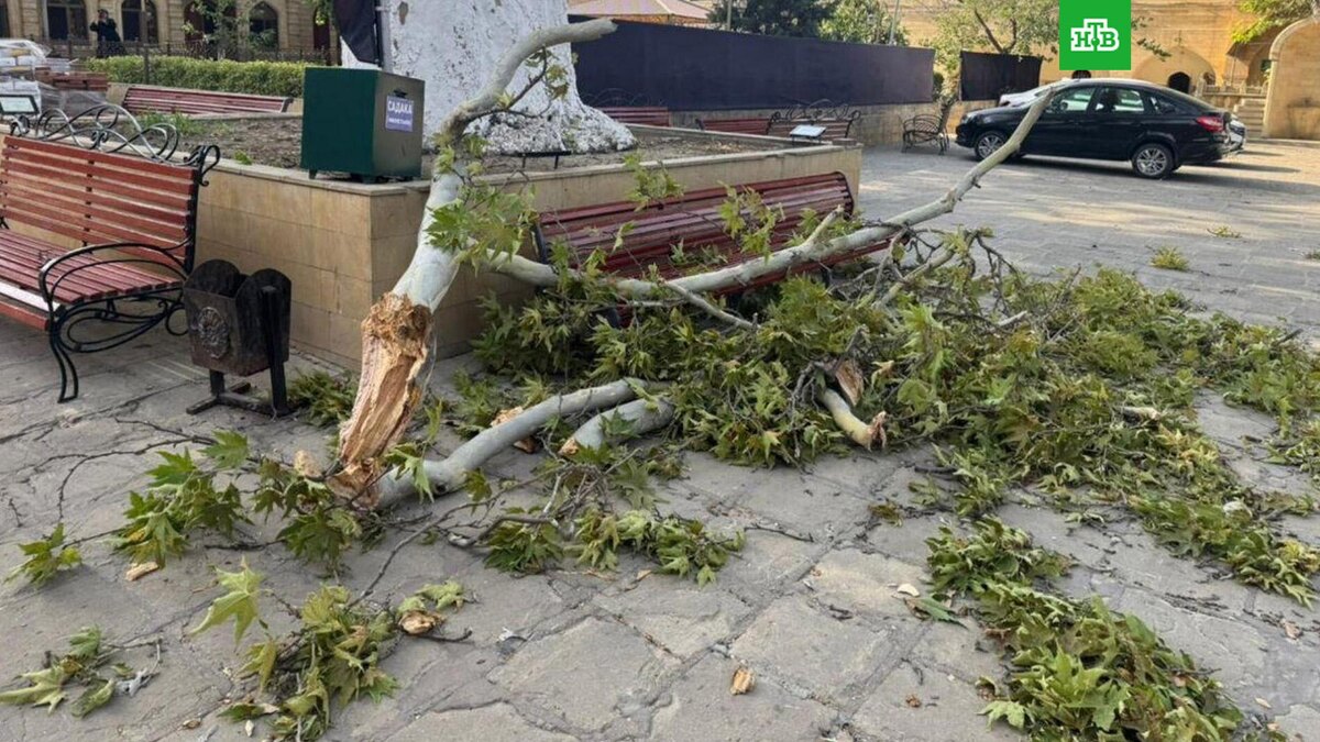    Фото: dagestan_sledcom05 / t.me