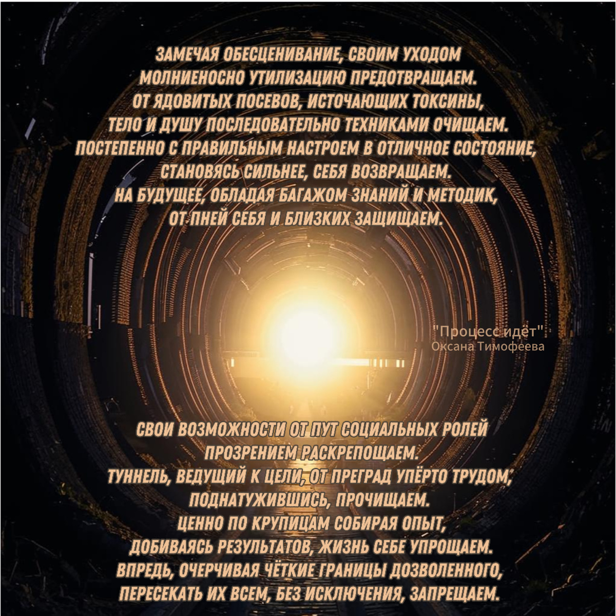 "Процесс идёт". Оксана Тимофеева (автор)