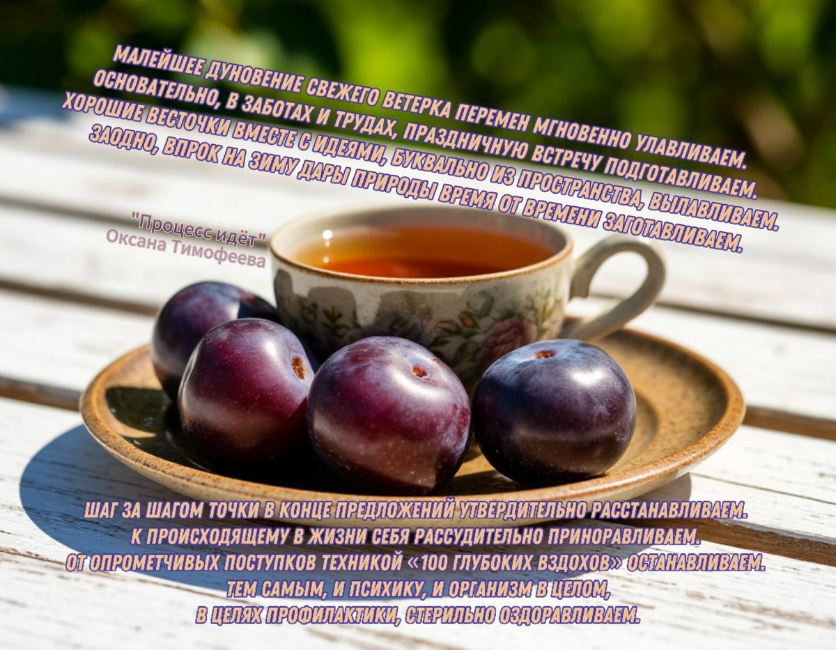 "Процеес идёт". Оксана Тимофеева (автор)