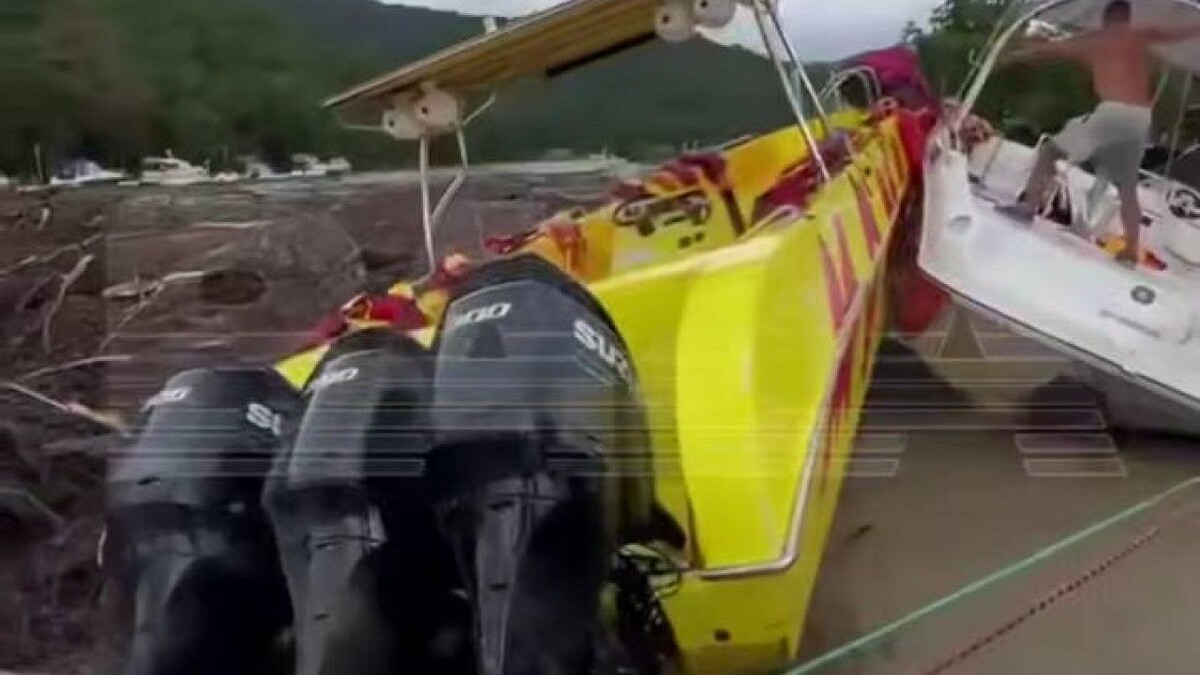    Фото: t.me/sochitop1