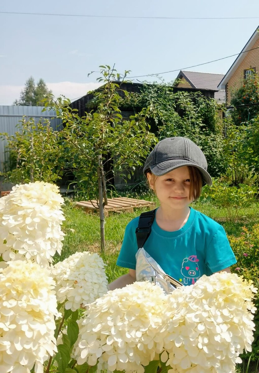 с моими гортензиями 