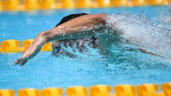    © Sputnik / Максим Богодвид