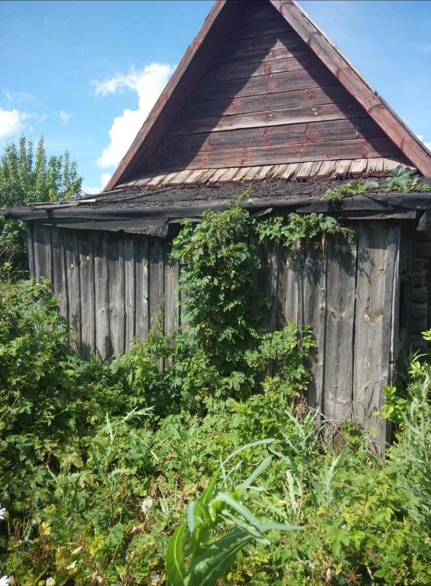 Фото дома в огороде из личной коллекции