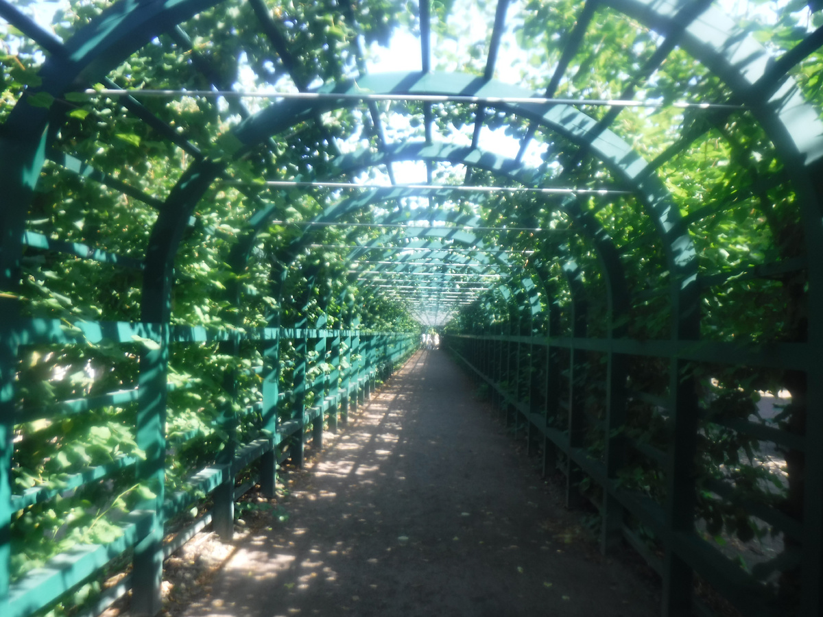 Зелёная галерея