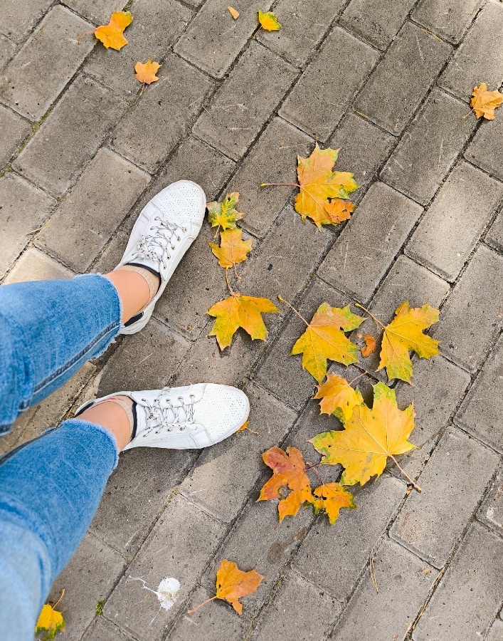 Фотографии в статье авторские