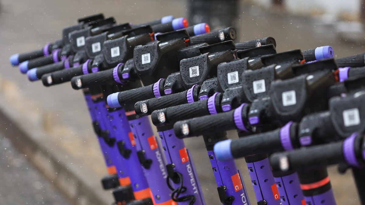    Фото: Shatokhina Natalia/globallookpress.com