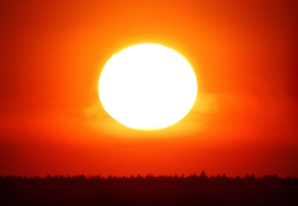 Фото: Кристина Белякова/РИА Верхневолжье
