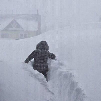 Фото из соцсетей