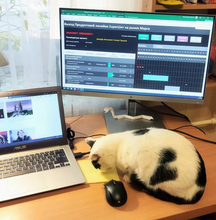 BI-аналитик Барсик и его дашборды