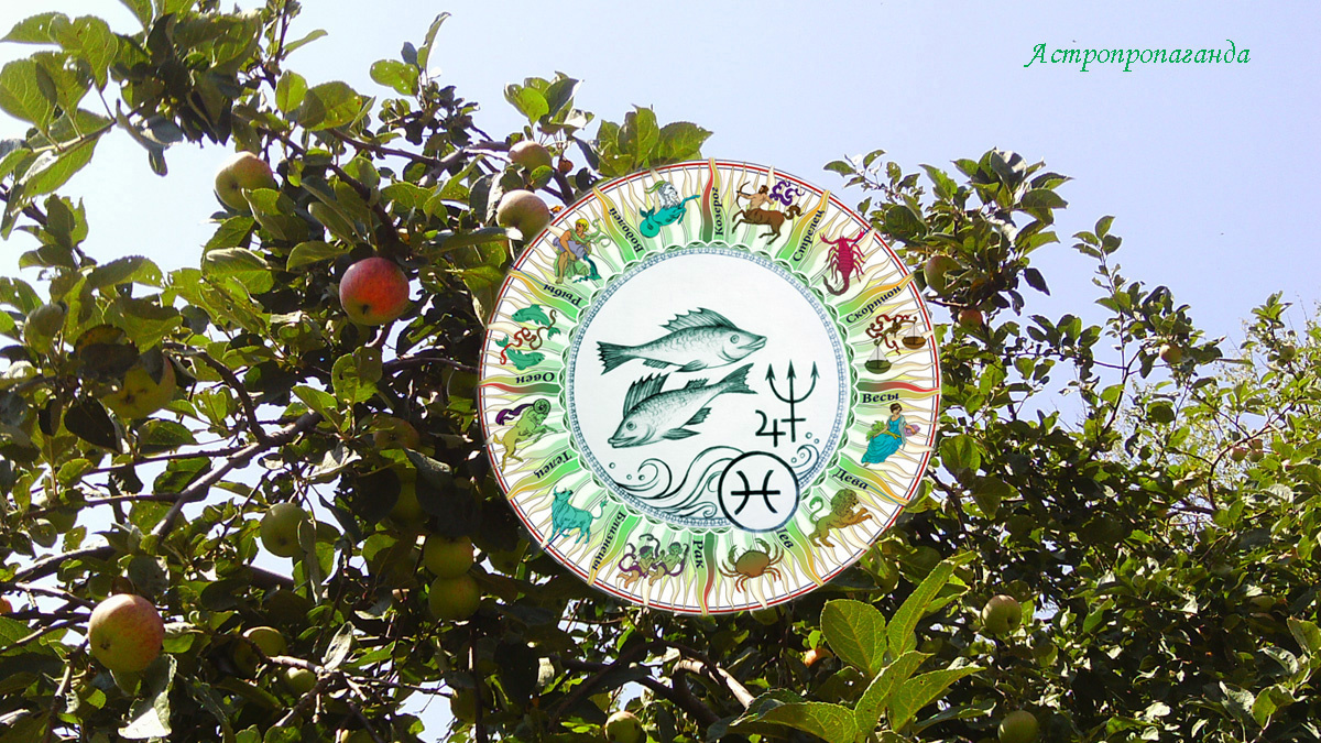 Гороскоп для Рыб с 4 по 31 августа 2025.