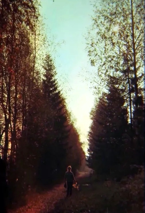 Городской парк г. Слободского, 1984 год. 