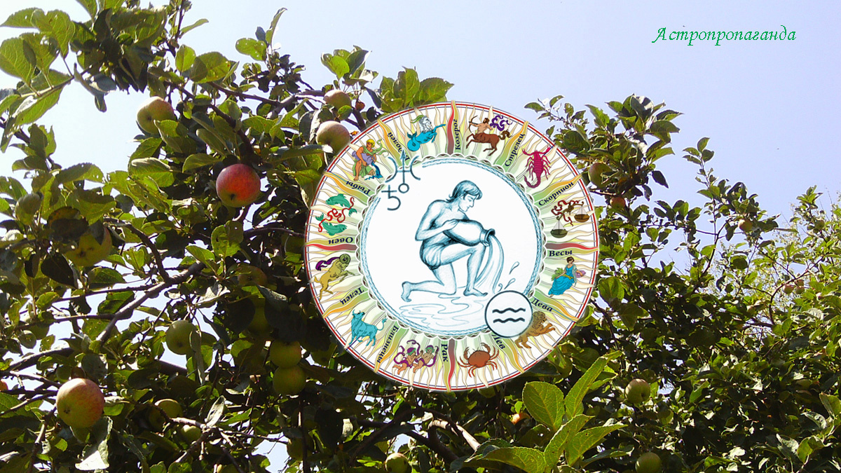 Гороскоп для Водолея с 4 по 31 августа 2025.