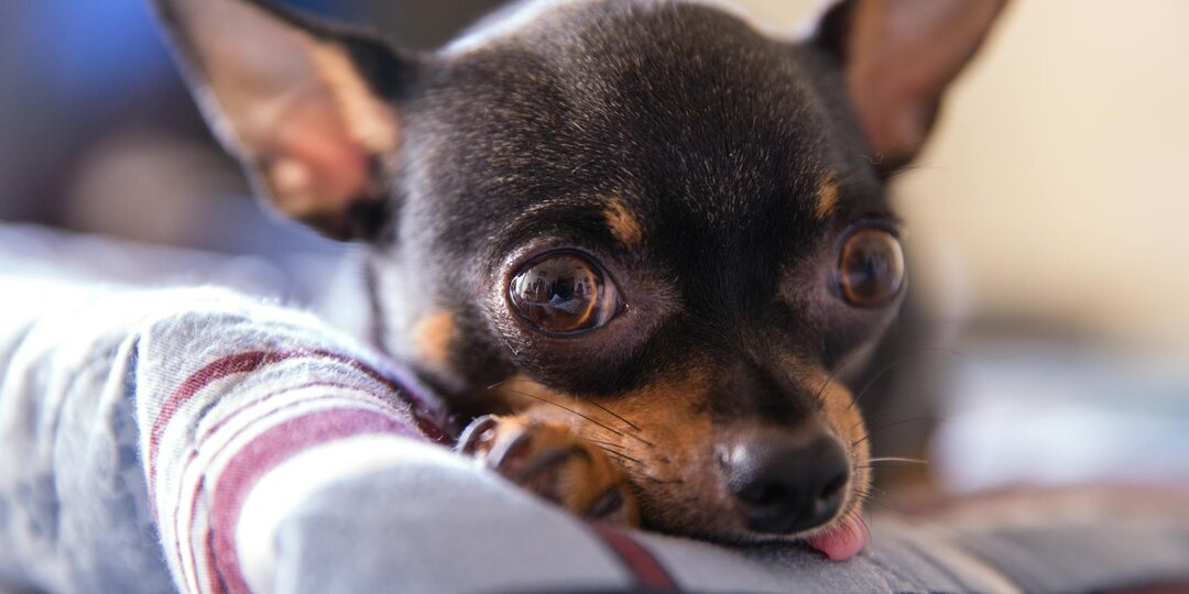 Жизнь с чистого листа