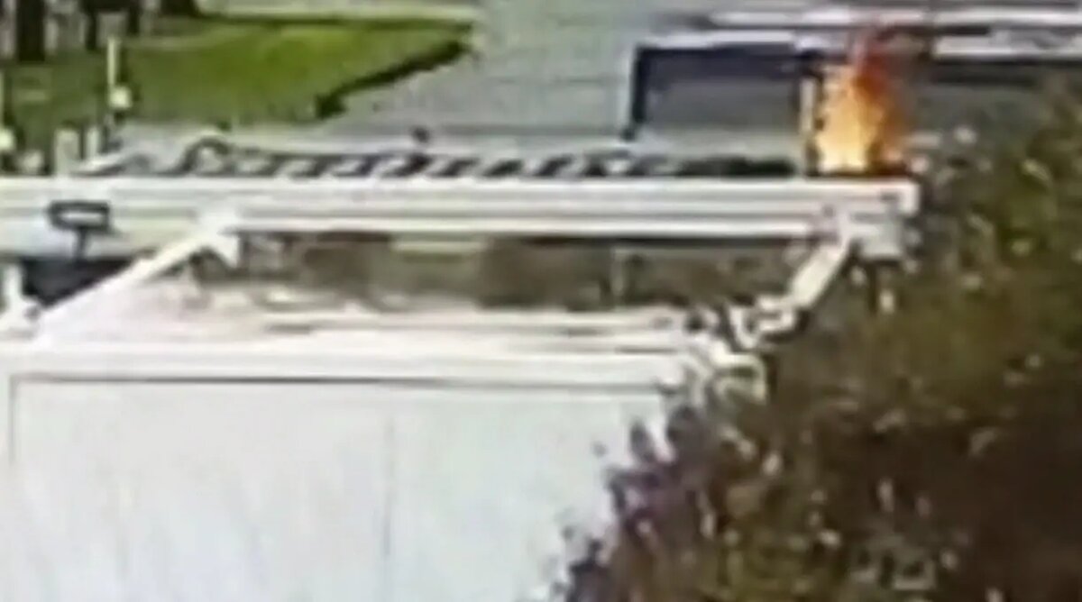    Фото: скриншот из видео ГУ МВД России по Петербургу и Ленобласти