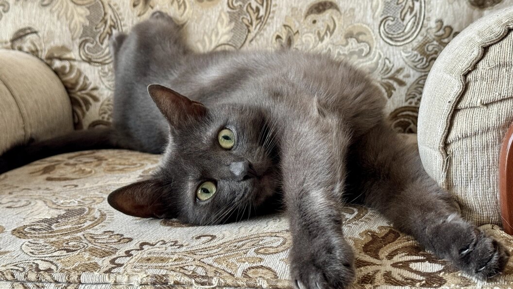    Alexander Legky/Globallookpress