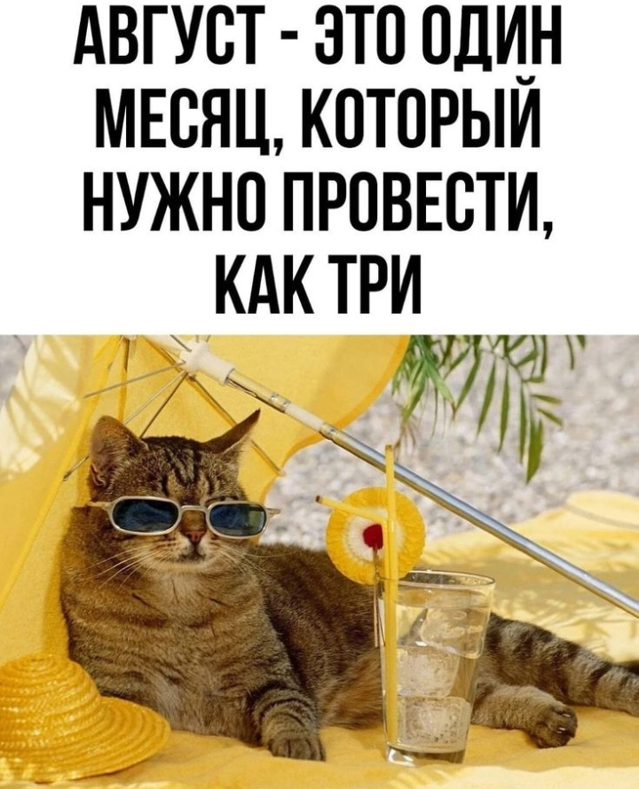 Картинка из интернета