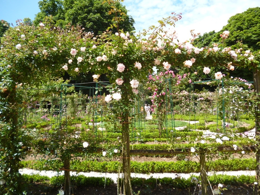 Фото stevewhysall