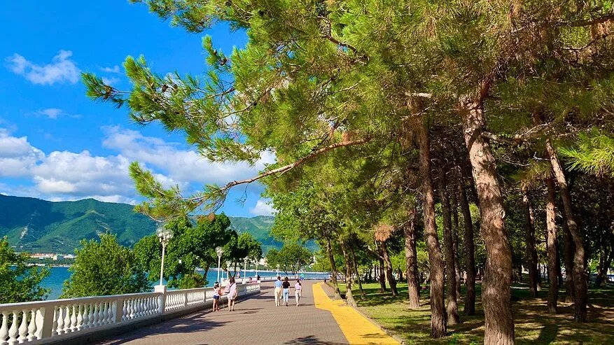    Фото автора Дзен-канала НА СВОИХ ДВОИХ - Алёна И Женя