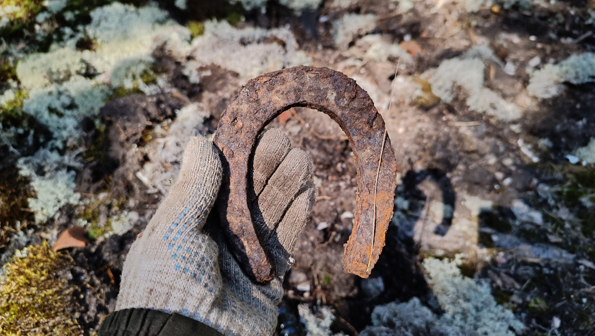 Подкова на счастье.