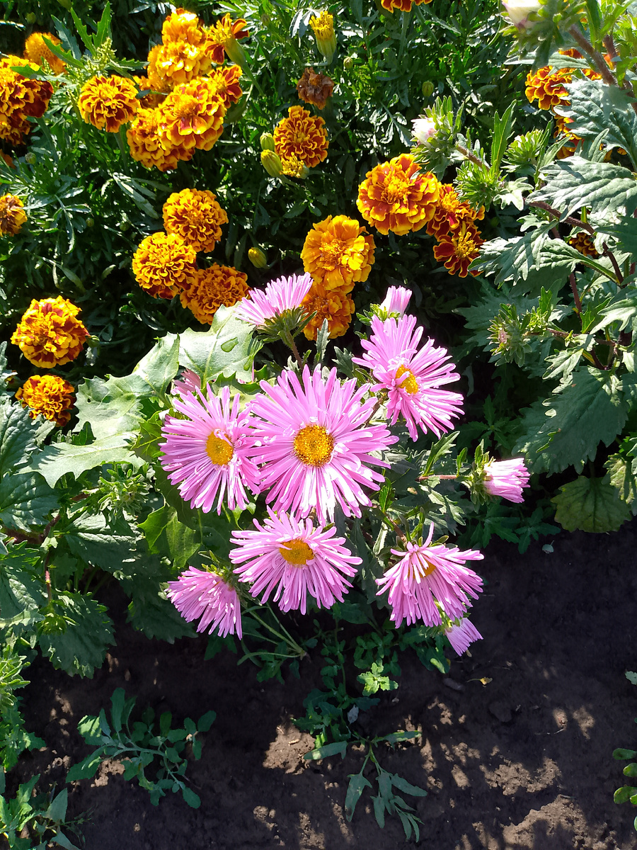 Милый цветочек