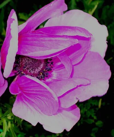 Фото автора канала