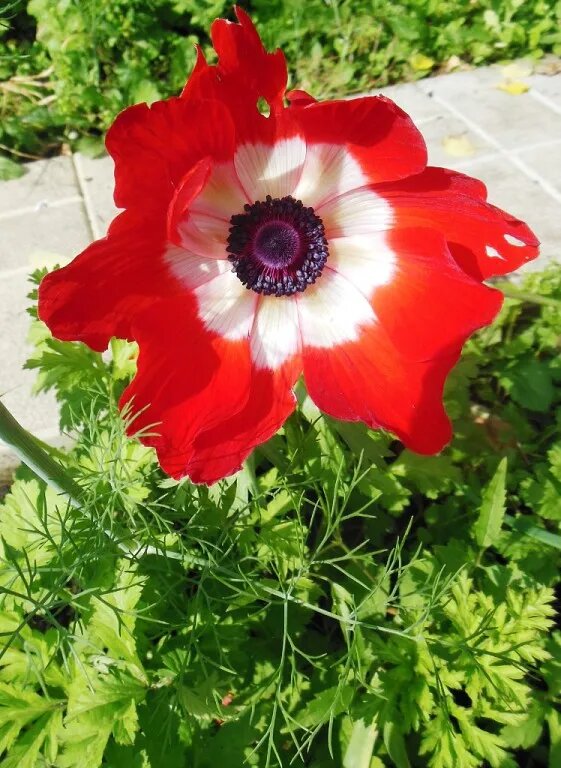 Фото автора канала