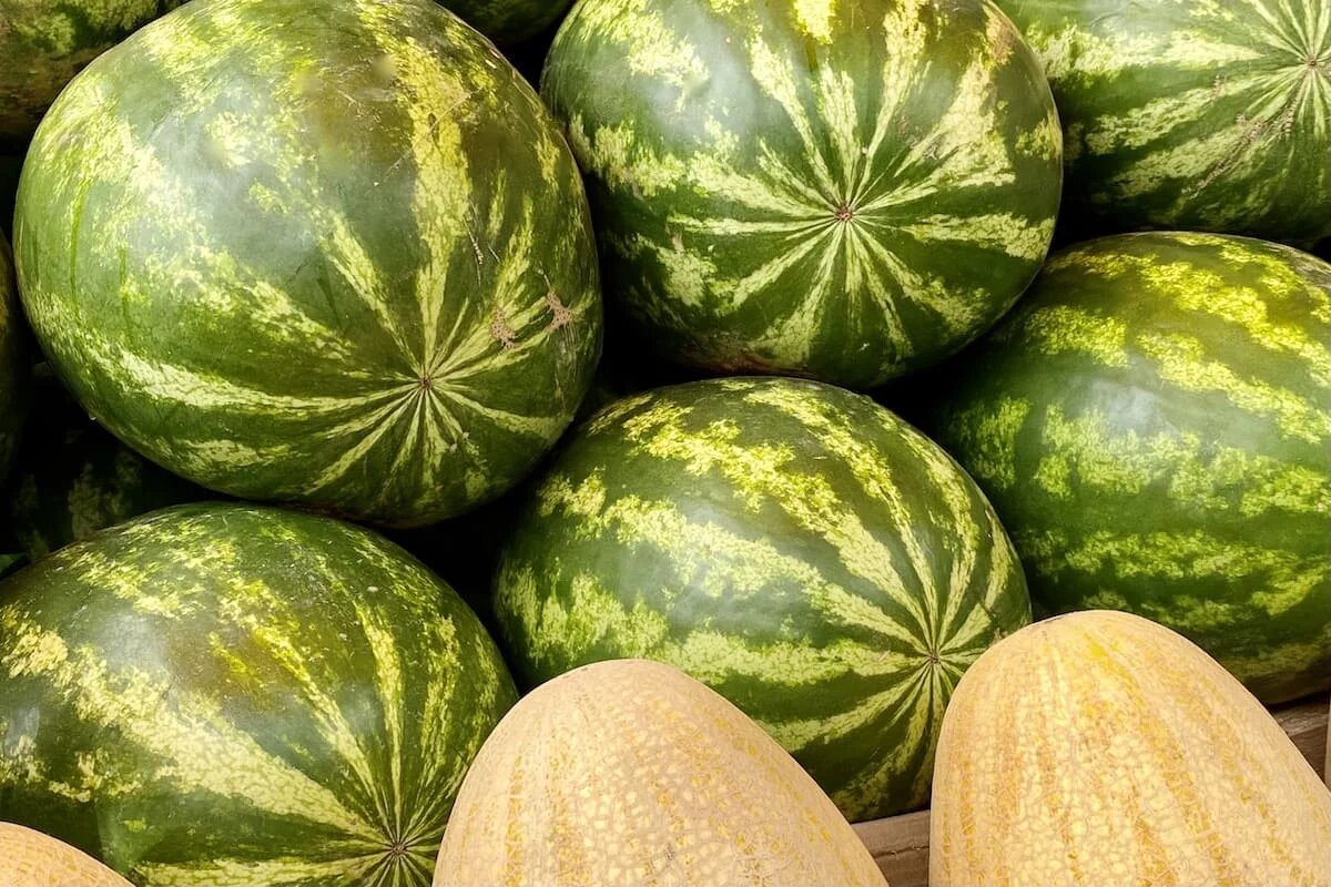 Фото: UfaTime.ru