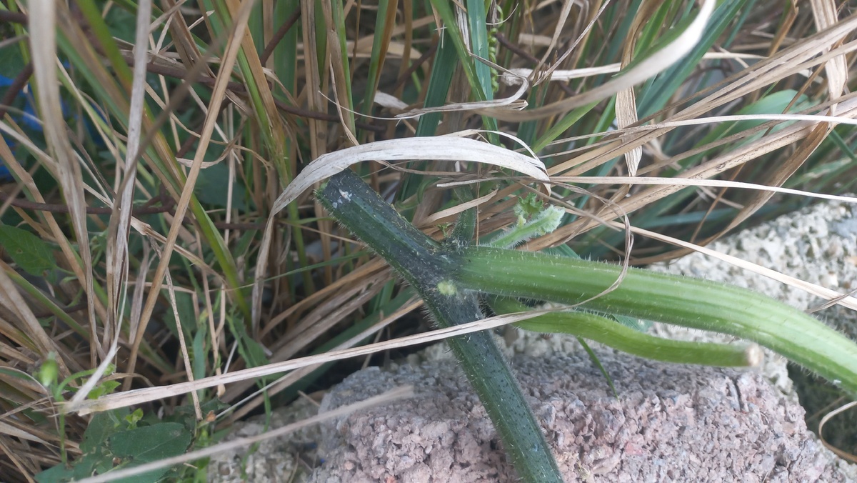 Все фото и видеоматериалы в статье принадлежат автору на условиях авторского права ©