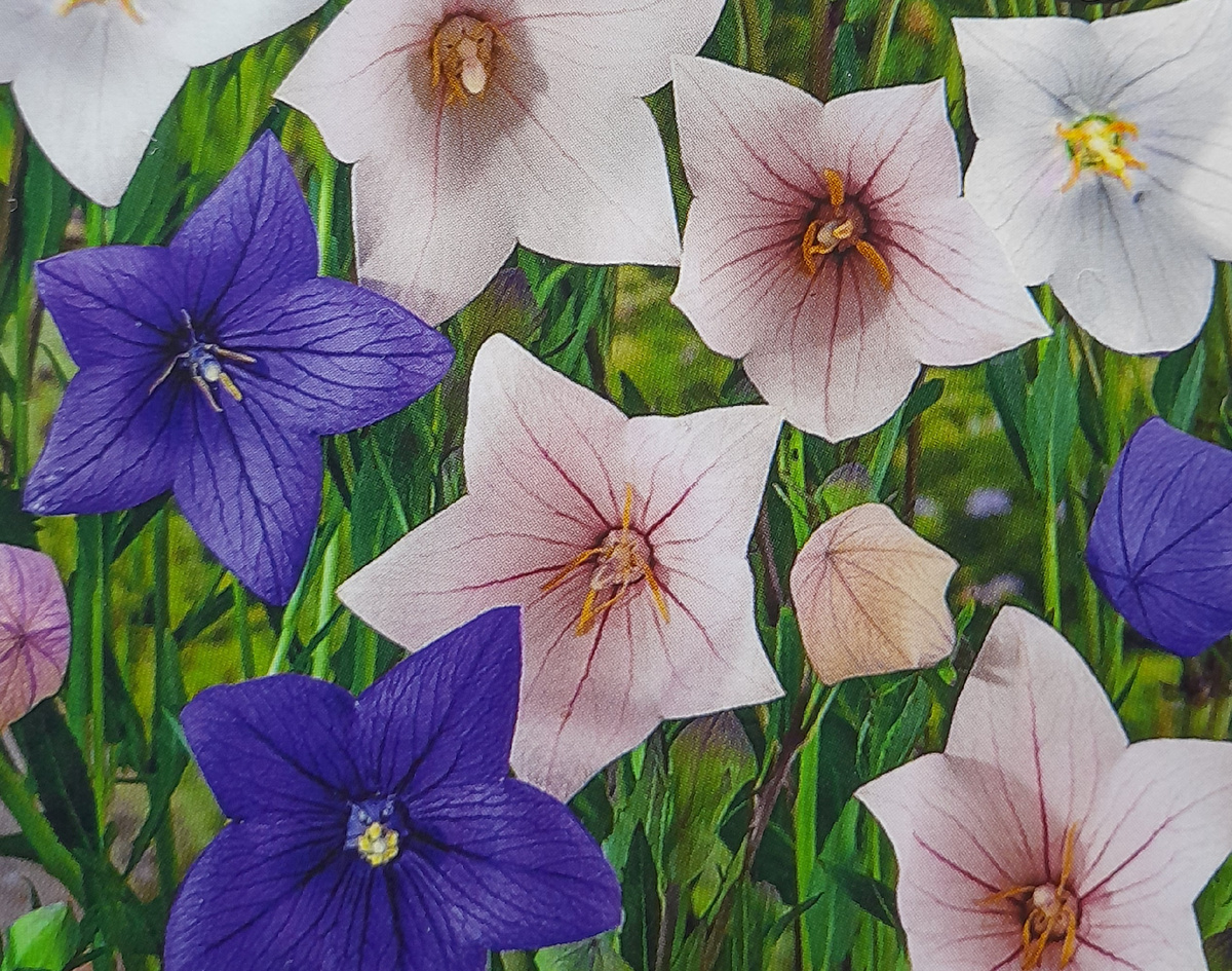 Фото автора канала