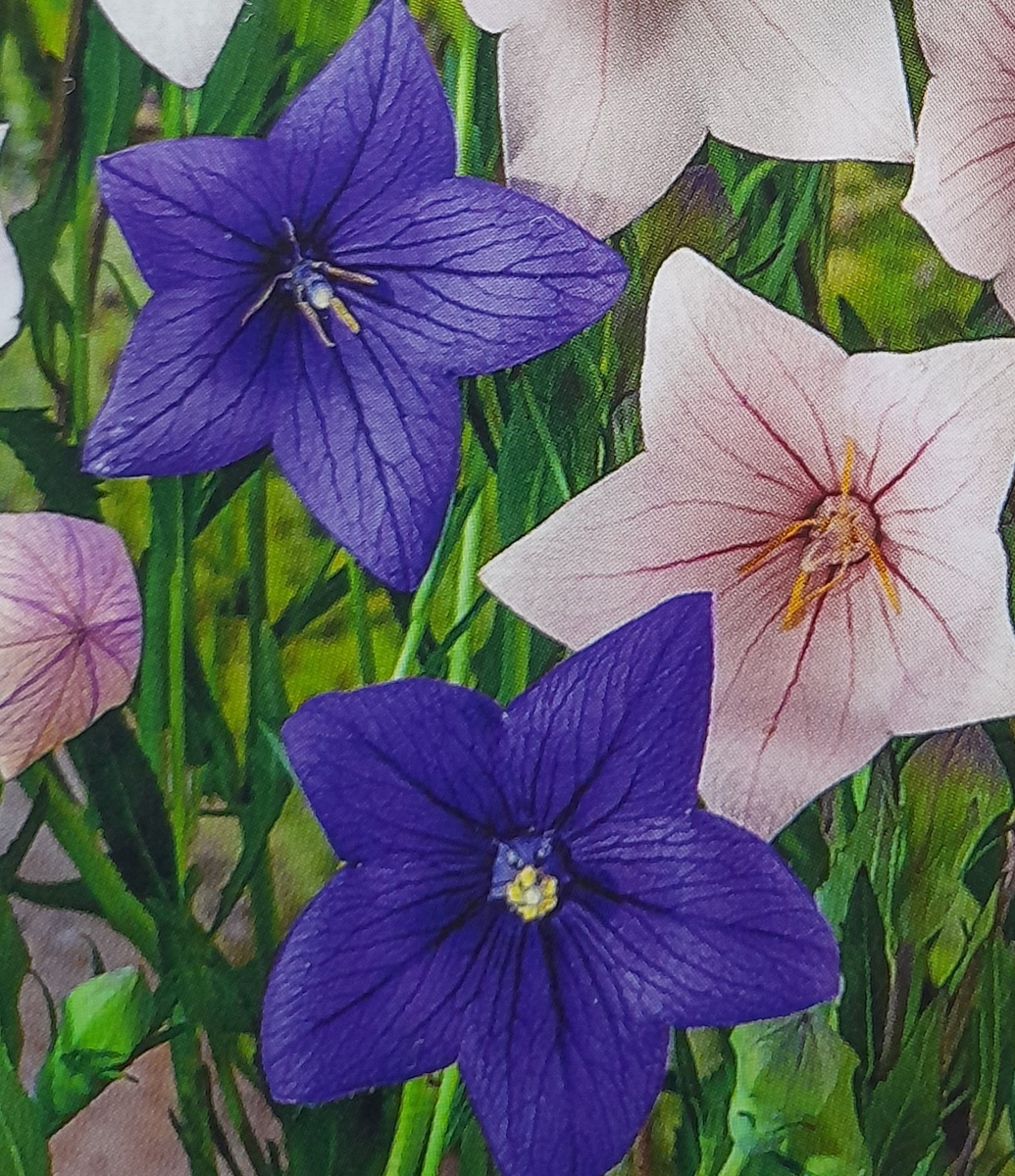 Фото автора канала